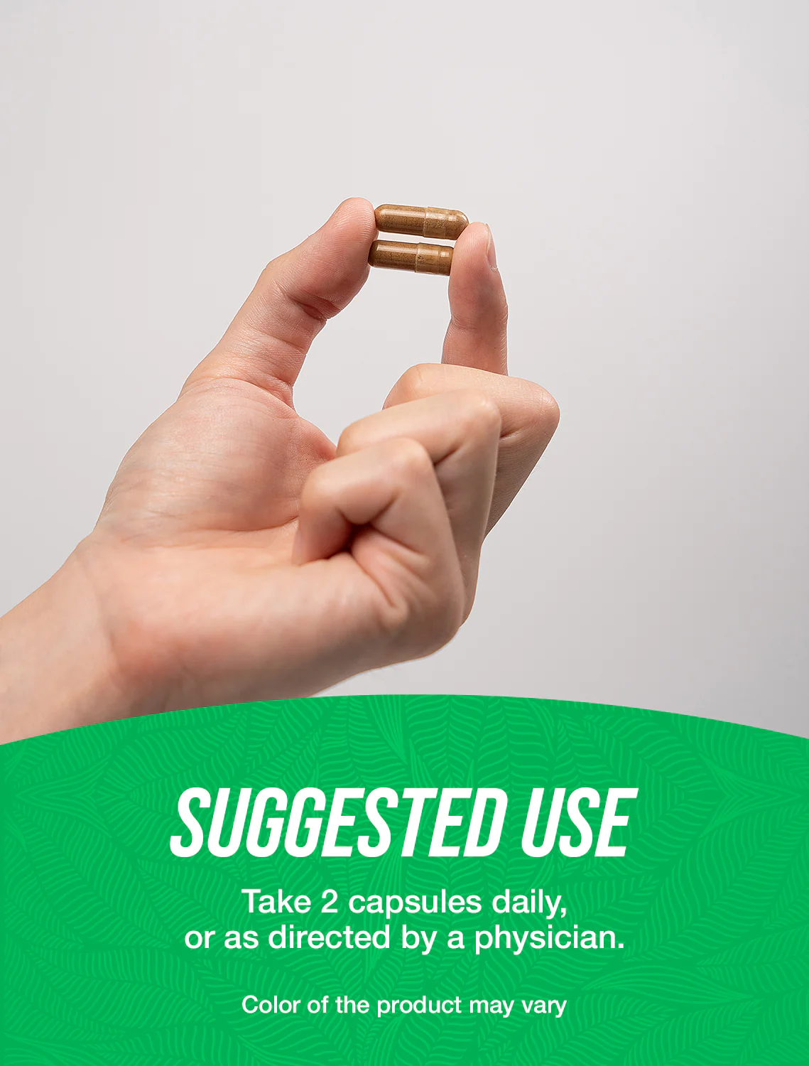 Celery Seed Extract Capsules - Image 4