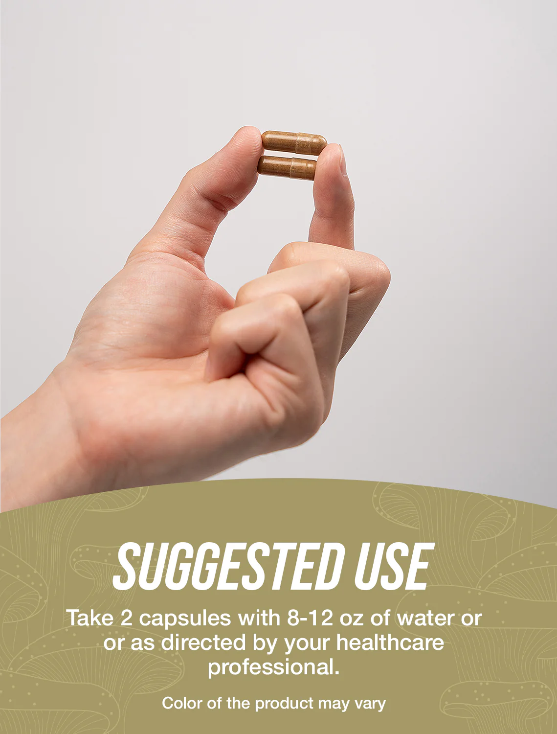 Chaga Mushroom Extract Capsules - Image 4