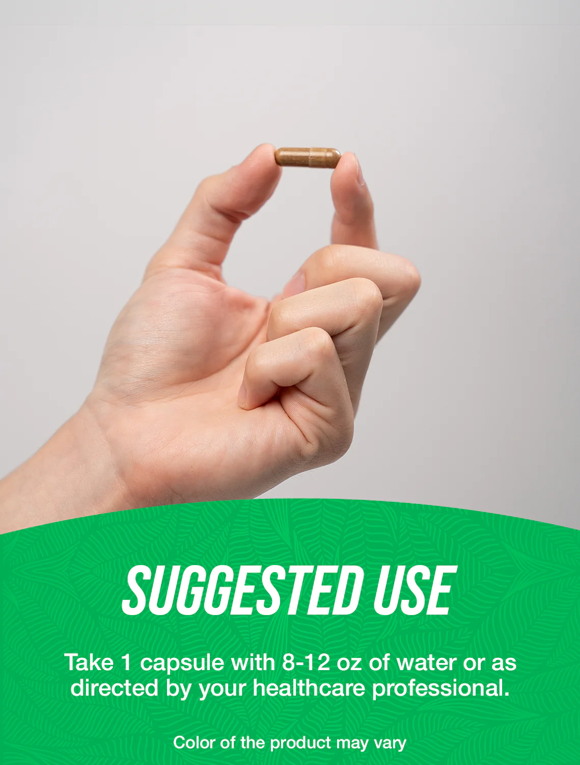 Echinacea Extract Capsules - Image 4