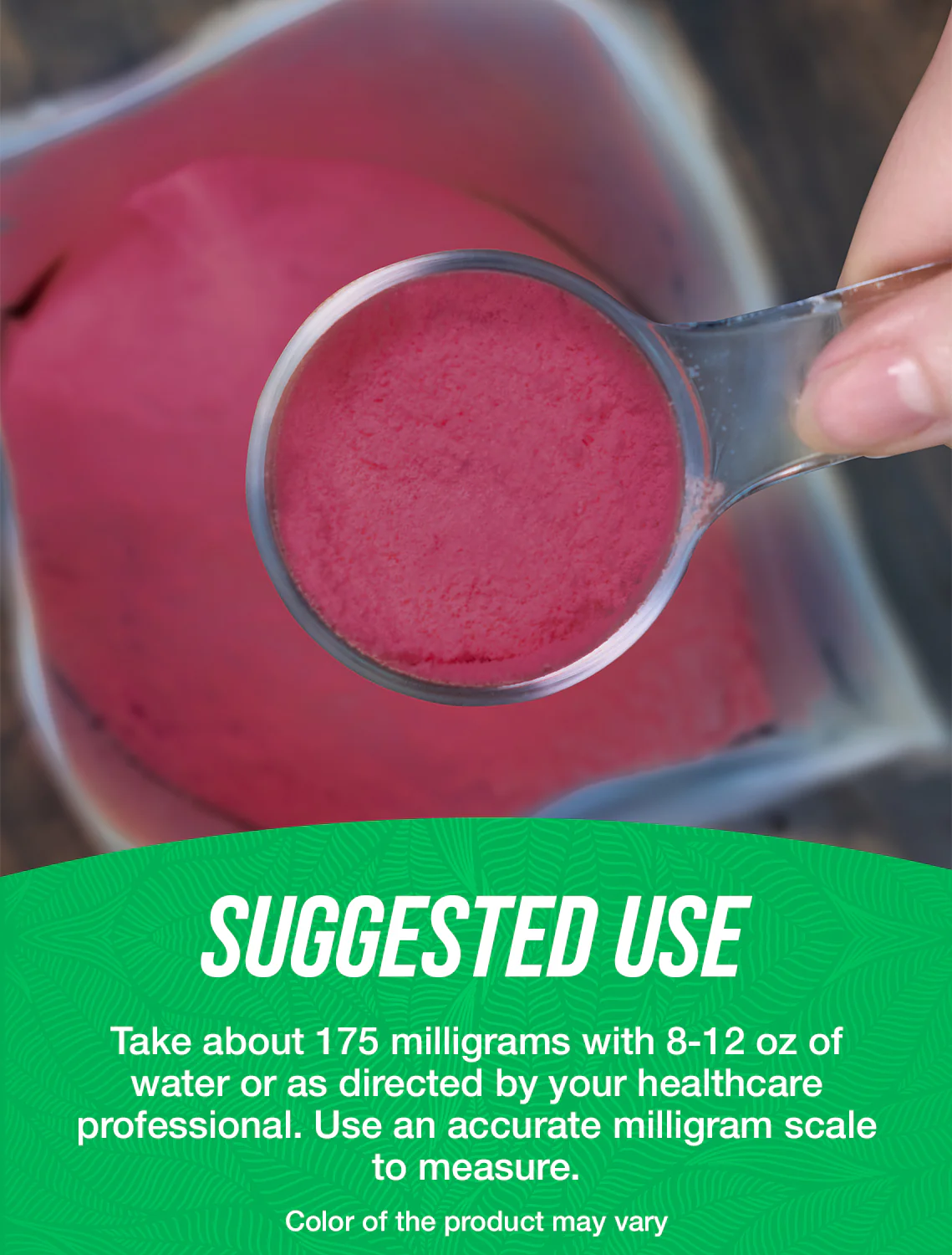 Elderberry Extract Powder - Image 4