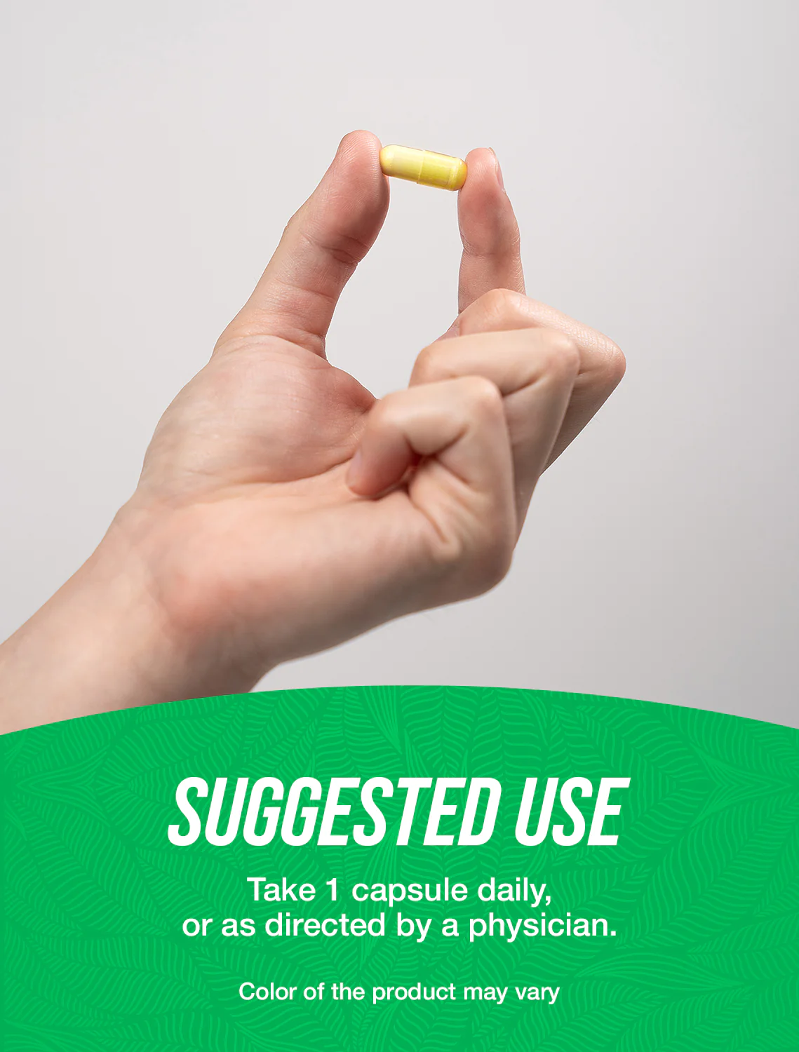 Fisetin Capsules - Image 4