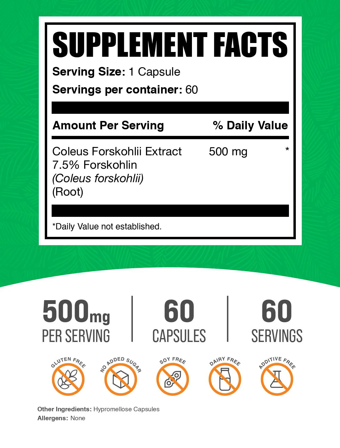 Coleus Forskohlii Extract (7.5% Forskolin) Capsules - Image 2