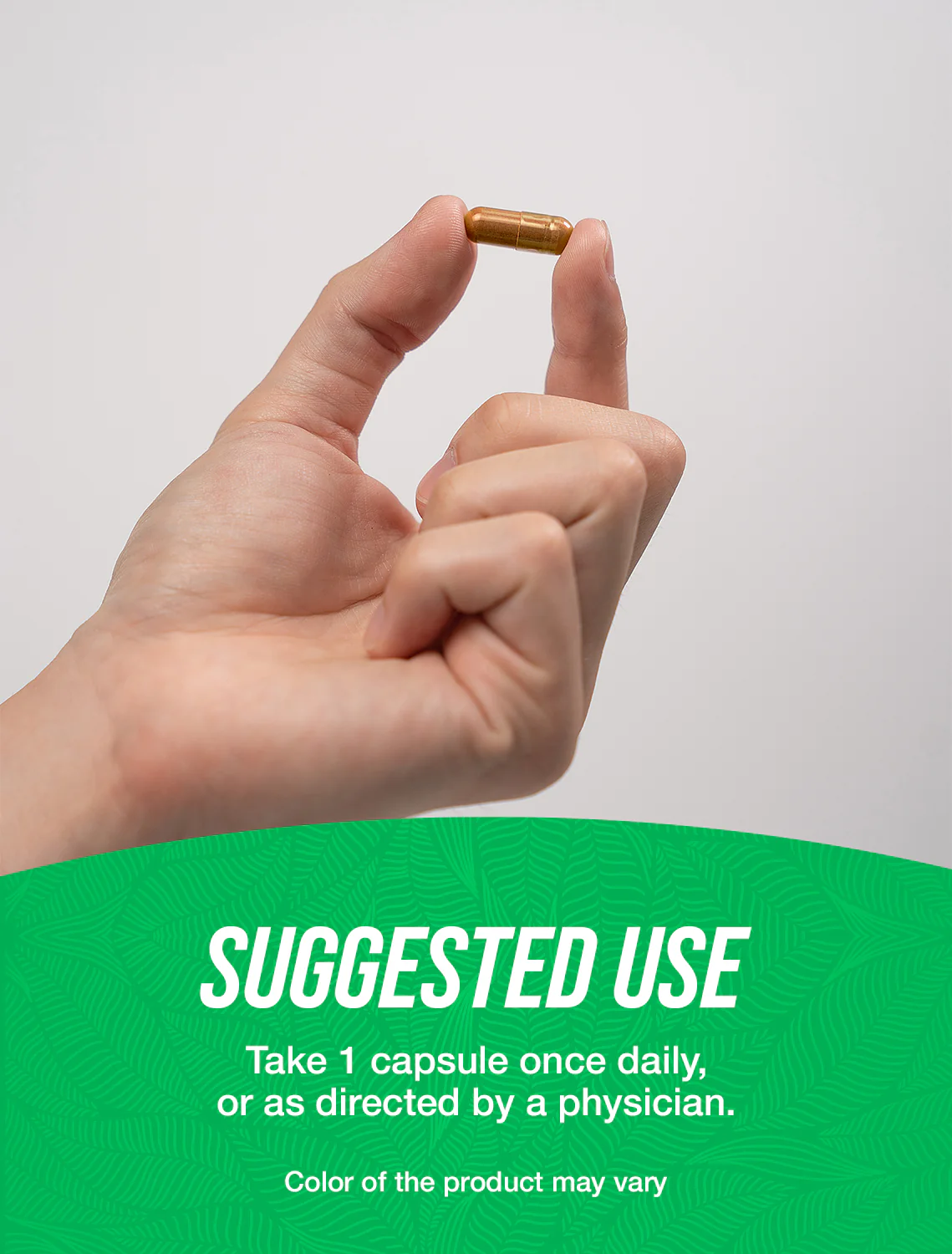 Coleus Forskohlii Extract (7.5% Forskolin) Capsules - Image 4