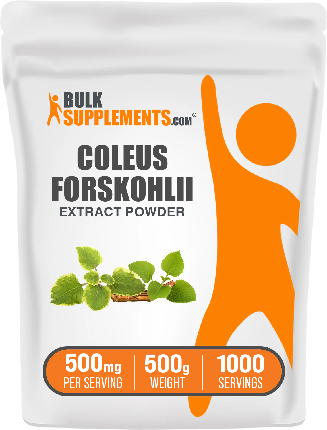 Coleus Forskohlii Extract (7.5% Forskolin) Capsules - Image 9