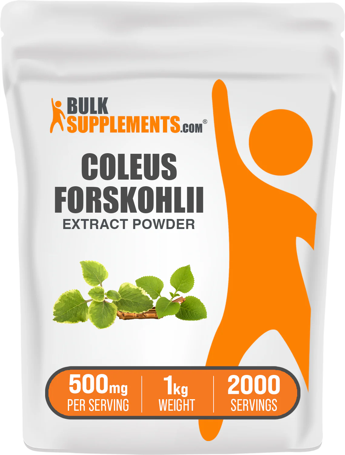 Coleus Forskohlii Extract (7.5% Forskolin) Powder - Image 10
