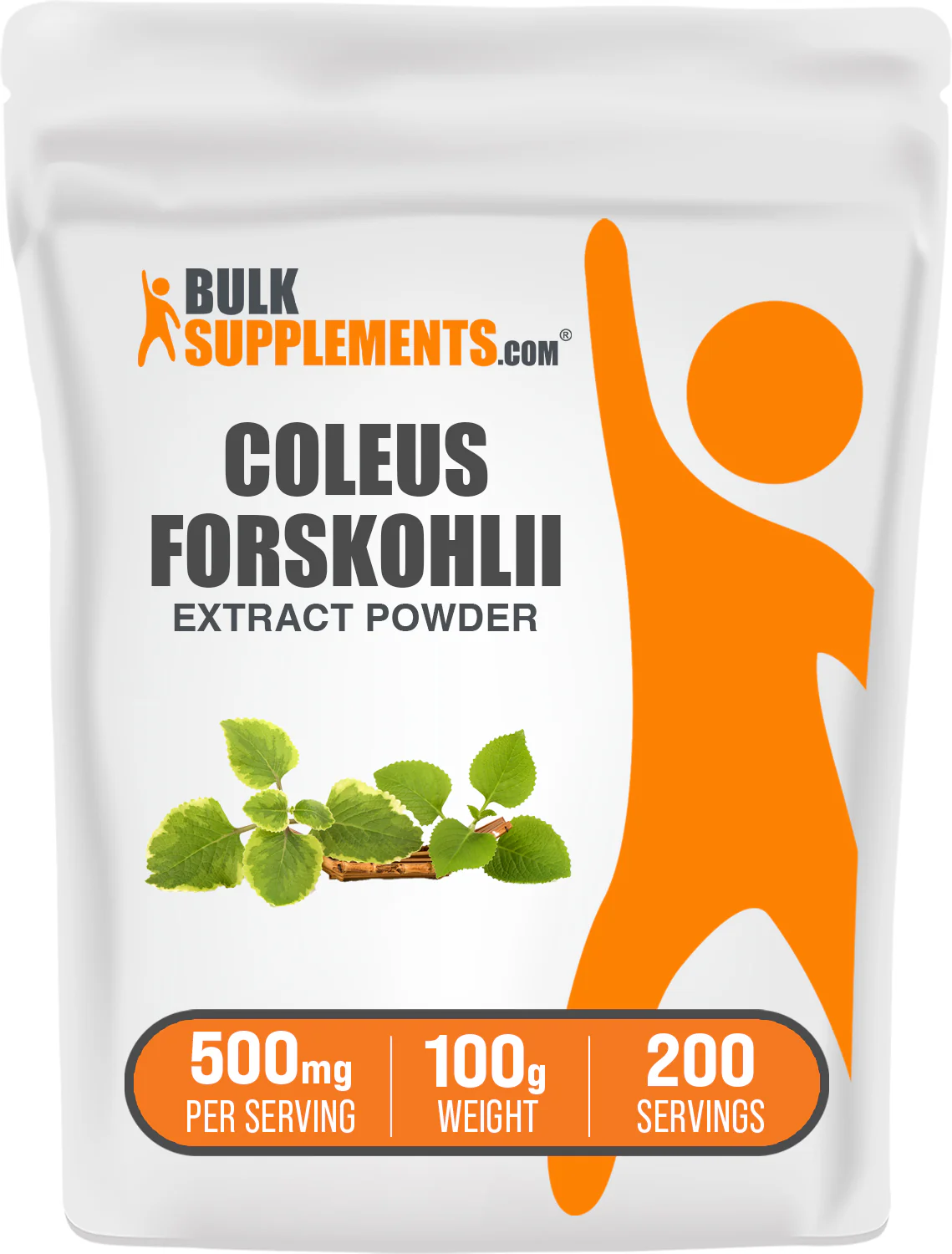Coleus Forskohlii Extract (7.5% Forskolin) Powder - Image 7