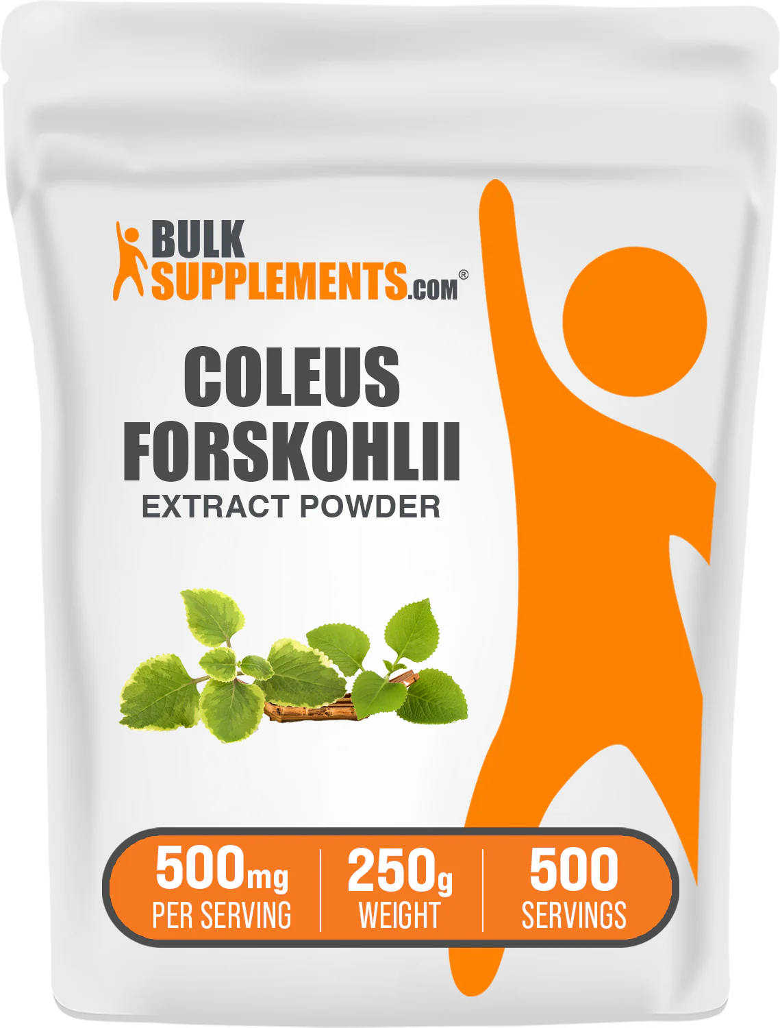 Coleus Forskohlii Extract (7.5% Forskolin) Powder - Image 8