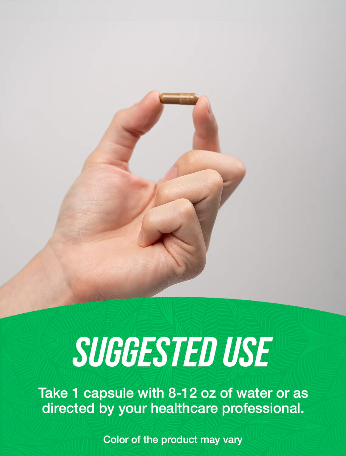 Ginkgo Biloba Extract Capsules - Image 4