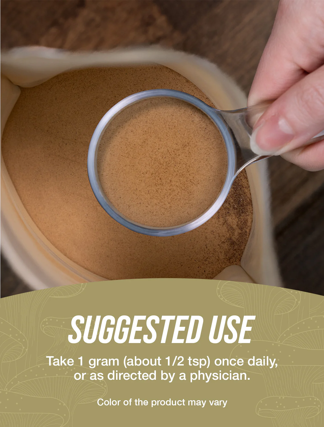 Organic Lion's Mane Powder - Image 4
