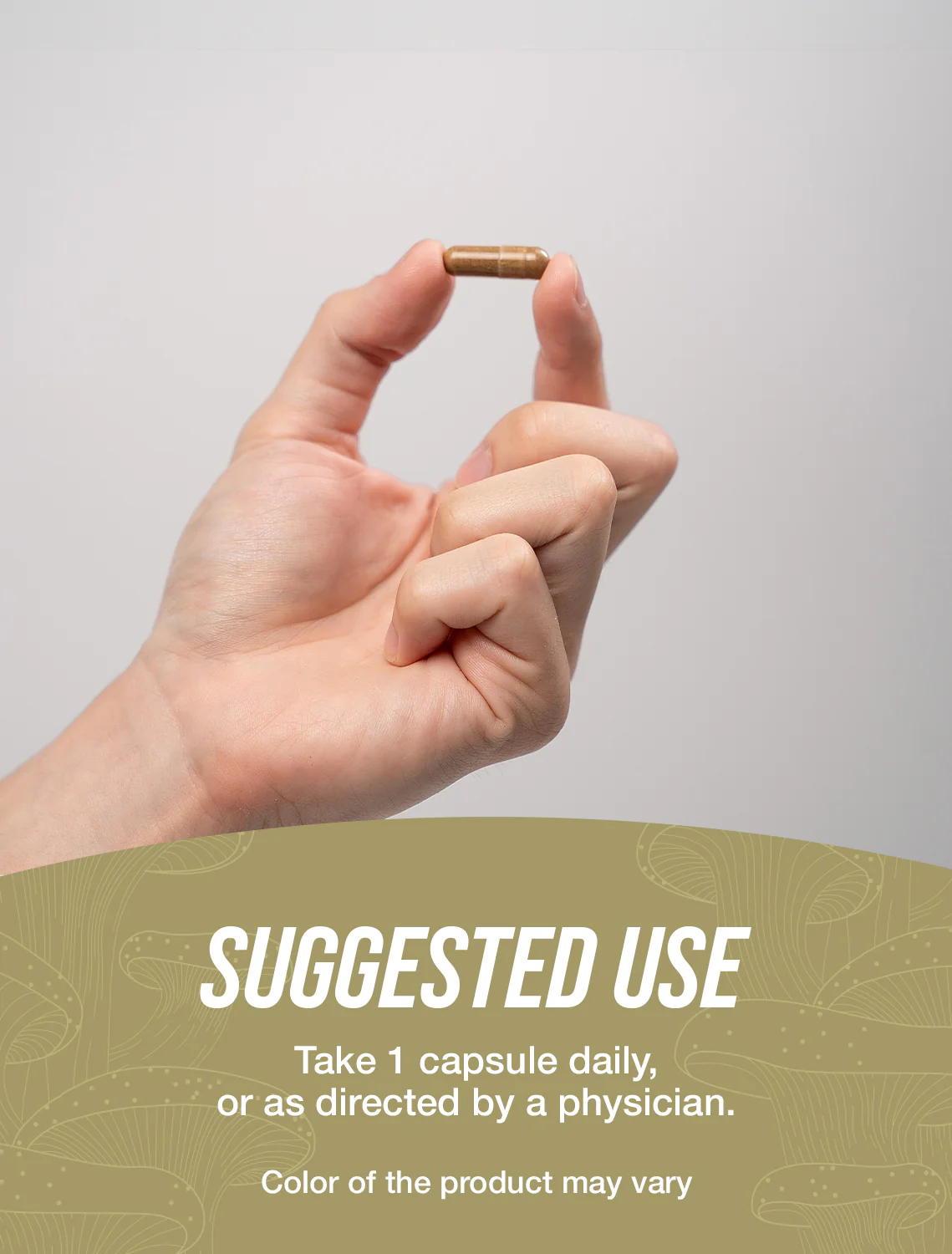 Maitake Mushroom Extract Capsules - Image 4
