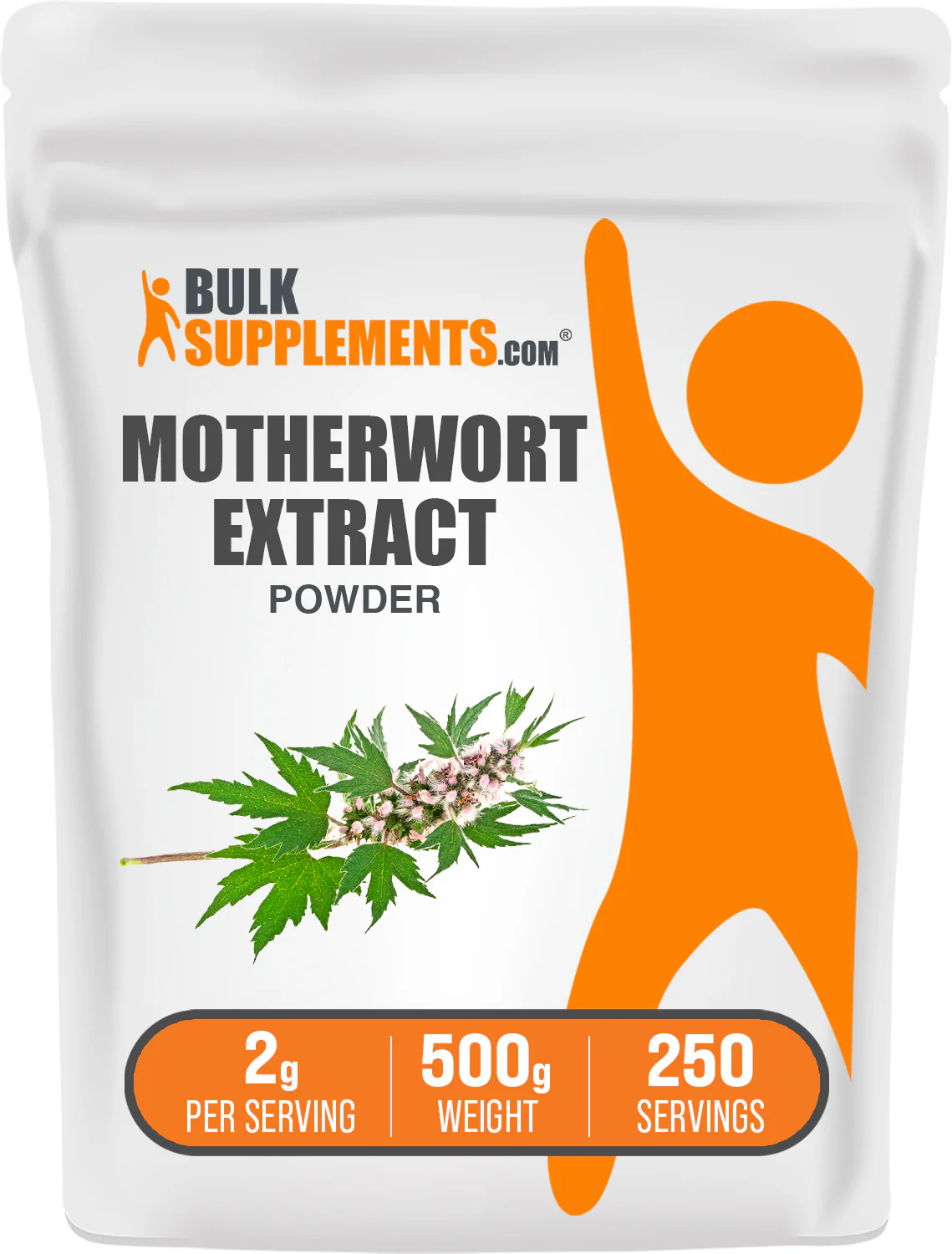 Motherwort Extract Powder