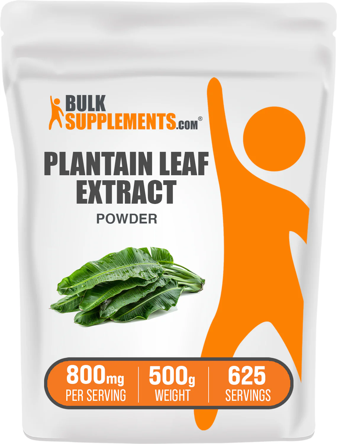 Plantain Extract Powder - Image 8