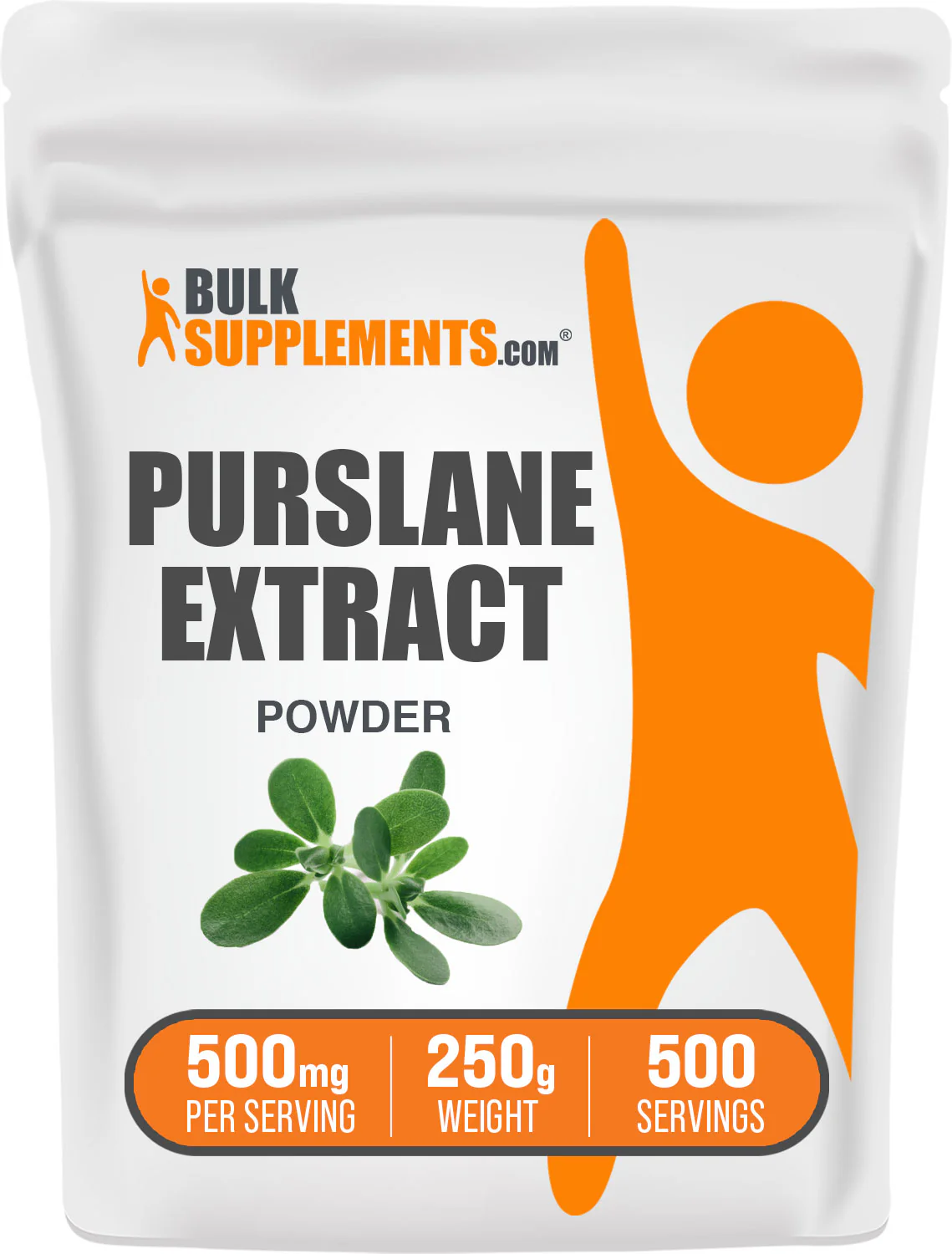 Portulaca Oleracea Extract (Purslane) Powder - Image 8
