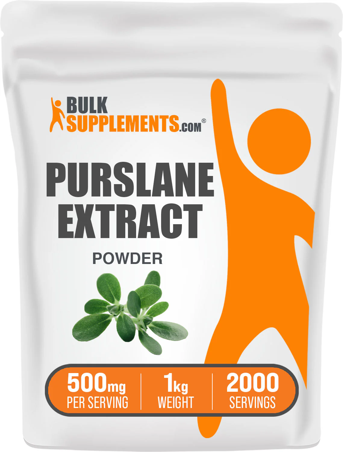 Portulaca Oleracea Extract (Purslane) Powder - Image 9