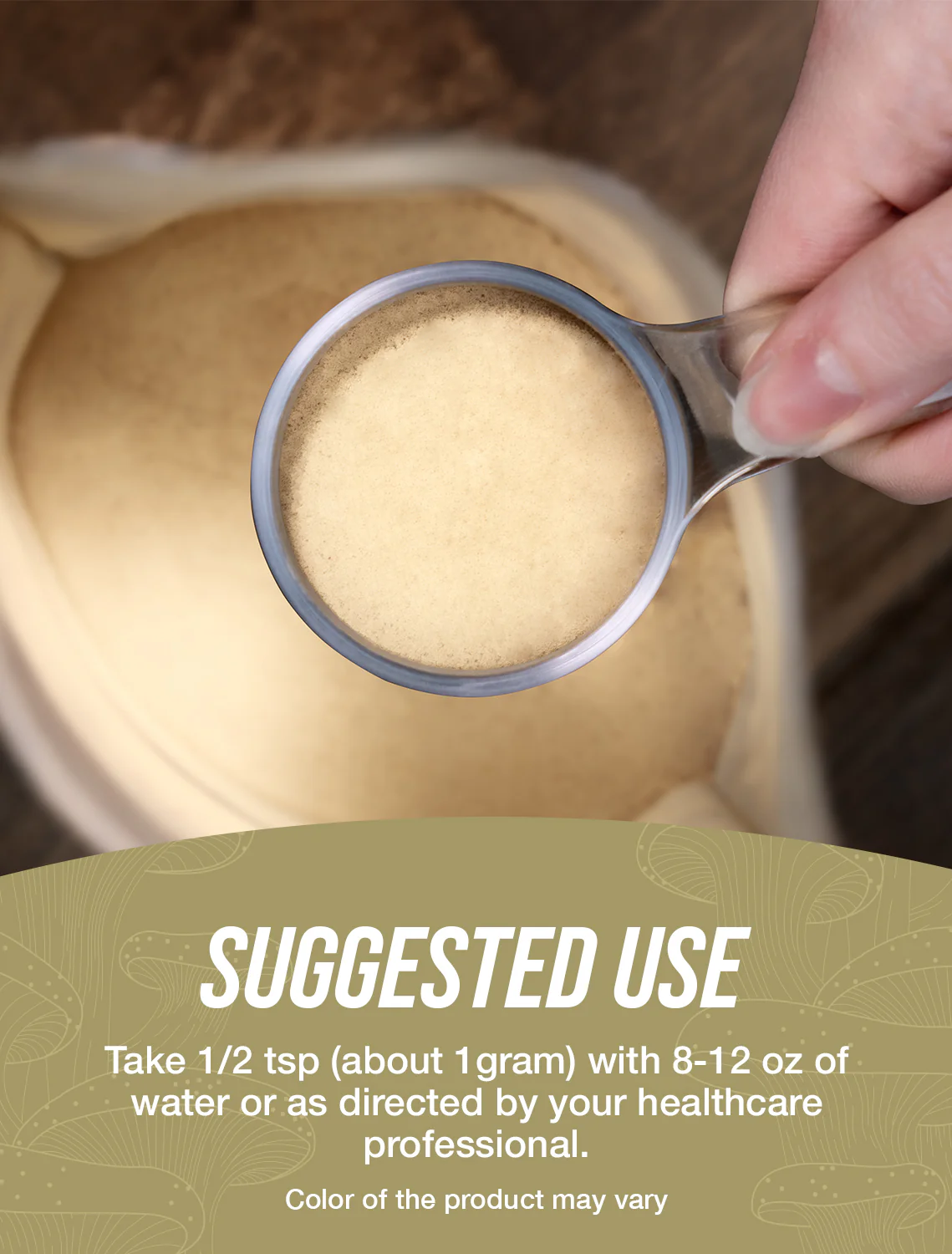 Shiitake Mushroom Extract Powder - Image 4