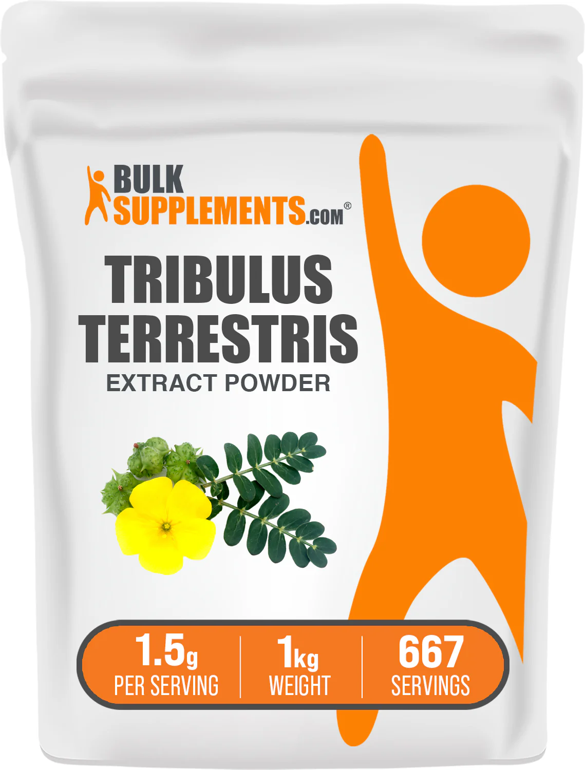 Tribulus Terrestris Extract Powder - Image 9