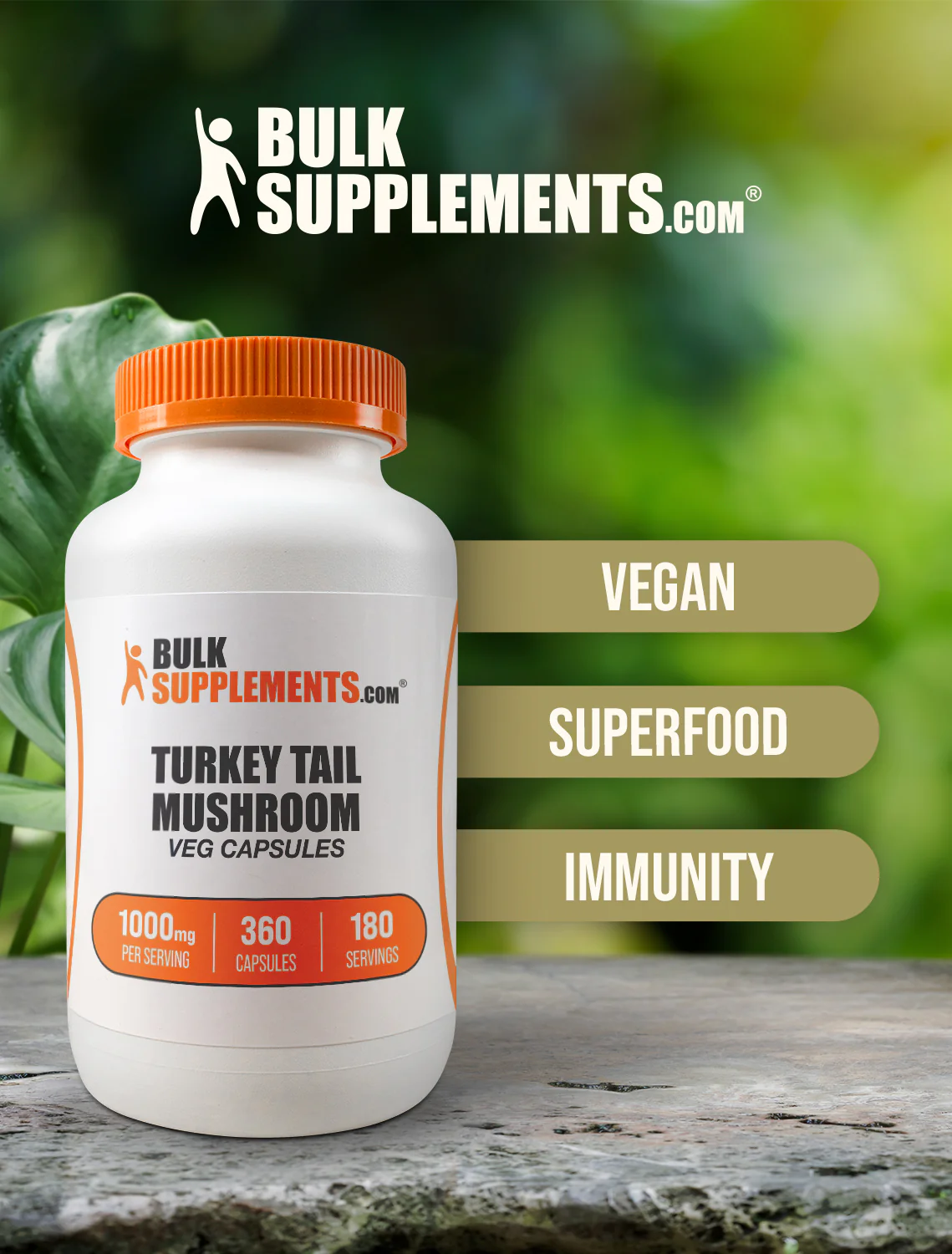 Turkey Tail Mushroom Capsules - Image 5