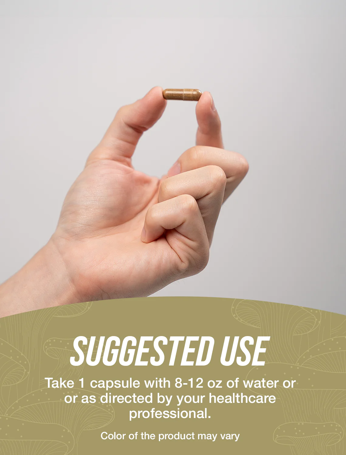 White Button Mushroom Extract Capsules - Image 4