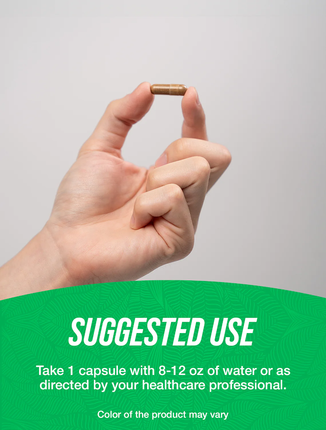 Wormwood Extract Capsules - Image 4